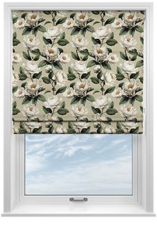 Henley, Henleys Vine Wiginton - Roman Blind